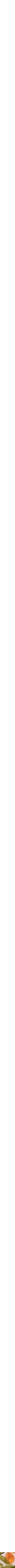 Assorti