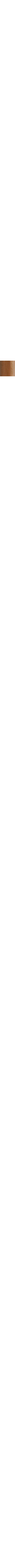 Bois brun pâle