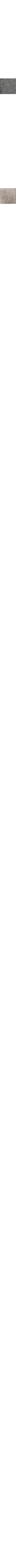 Slate Grey