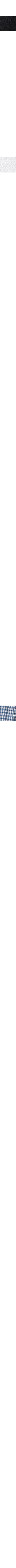 Vichy