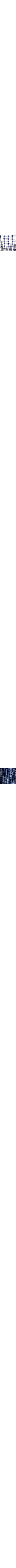 Patterned Blue