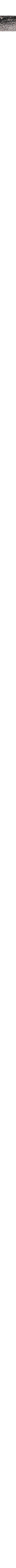 Noir et gris