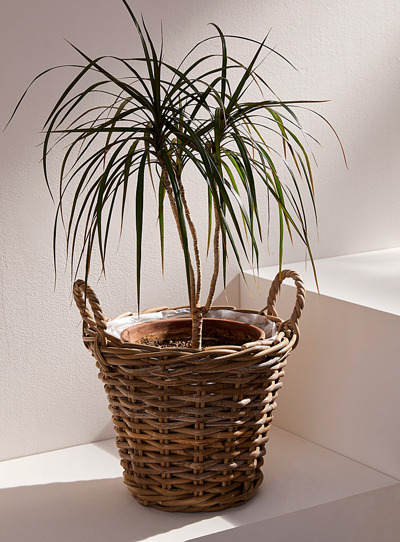 Planters & Garden Accessories | Decor | Simons