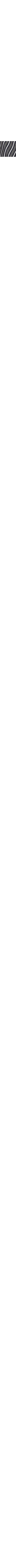 Noir à motifs