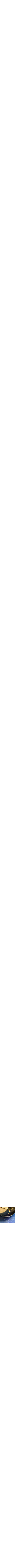 Assorti