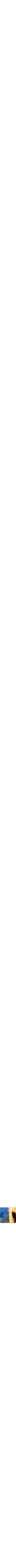 Assorti