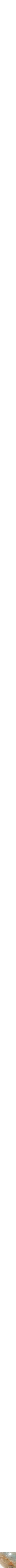Assorti