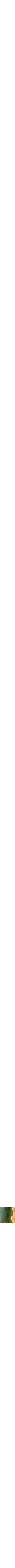 Assorti