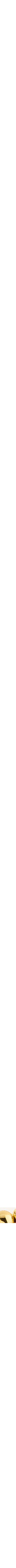 Assorti