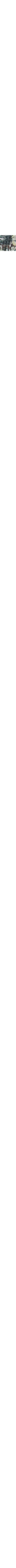 Écru à motifs