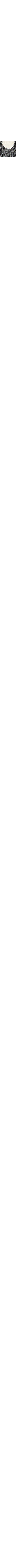 Noir à motifs