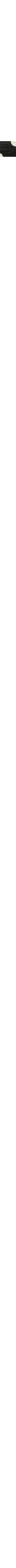 Noir à motifs