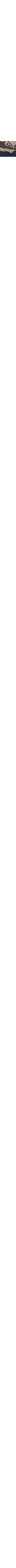 Noir à motifs