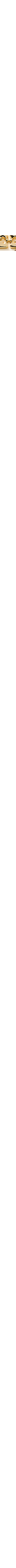 Patterned Ecru