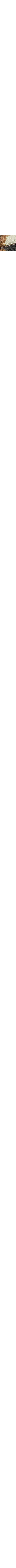 Patterned Ecru
