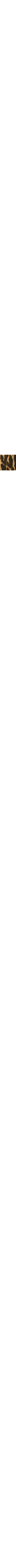 Brun à motifs