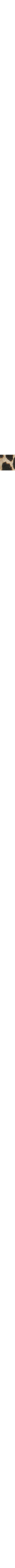 Brun à motifs