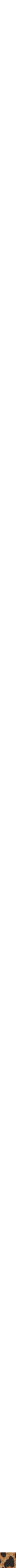 Assorti