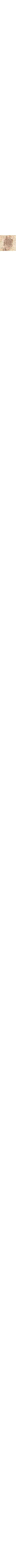 Écru à motifs