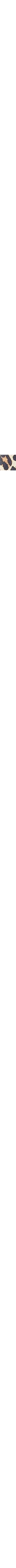 Brun à motifs