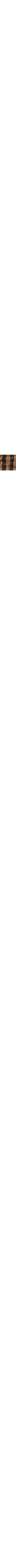 Brun à motifs