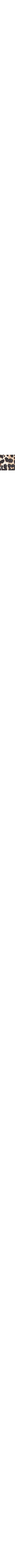 Brun à motifs