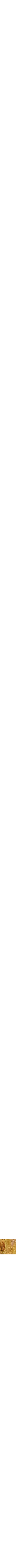 Jaune à motifs
