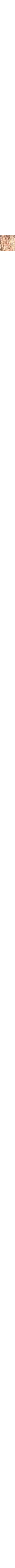Écru à motifs