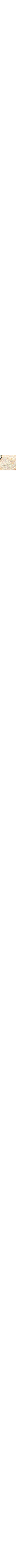 Brun à motifs
