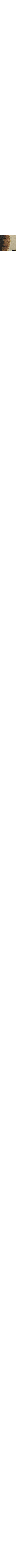 Patterned Ecru