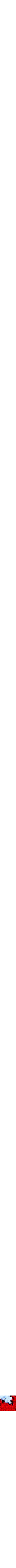 Orange à motifs