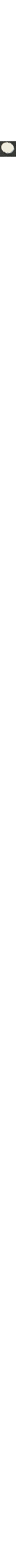 Noir à motifs
