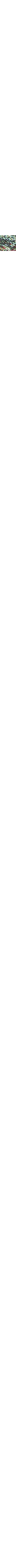 Écru à motifs