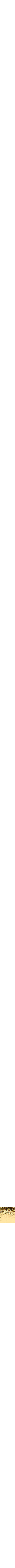 Or