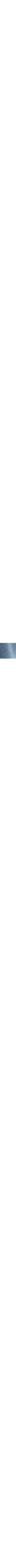 Bleu moyen