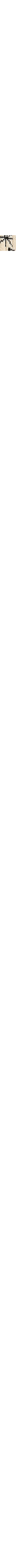 Écru à motifs