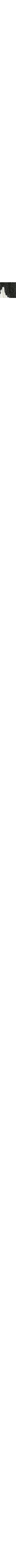 Blanc et noir