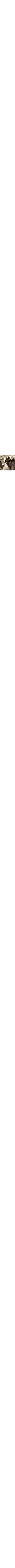 Brun à motifs