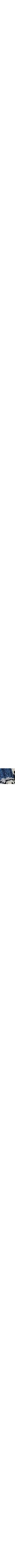 Bleu à motifs