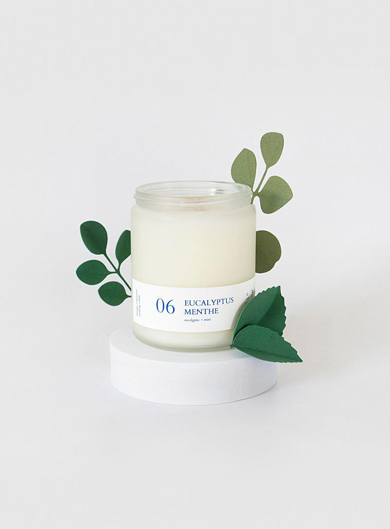 Flambette Assorted Eucalyptus and mint scented candle