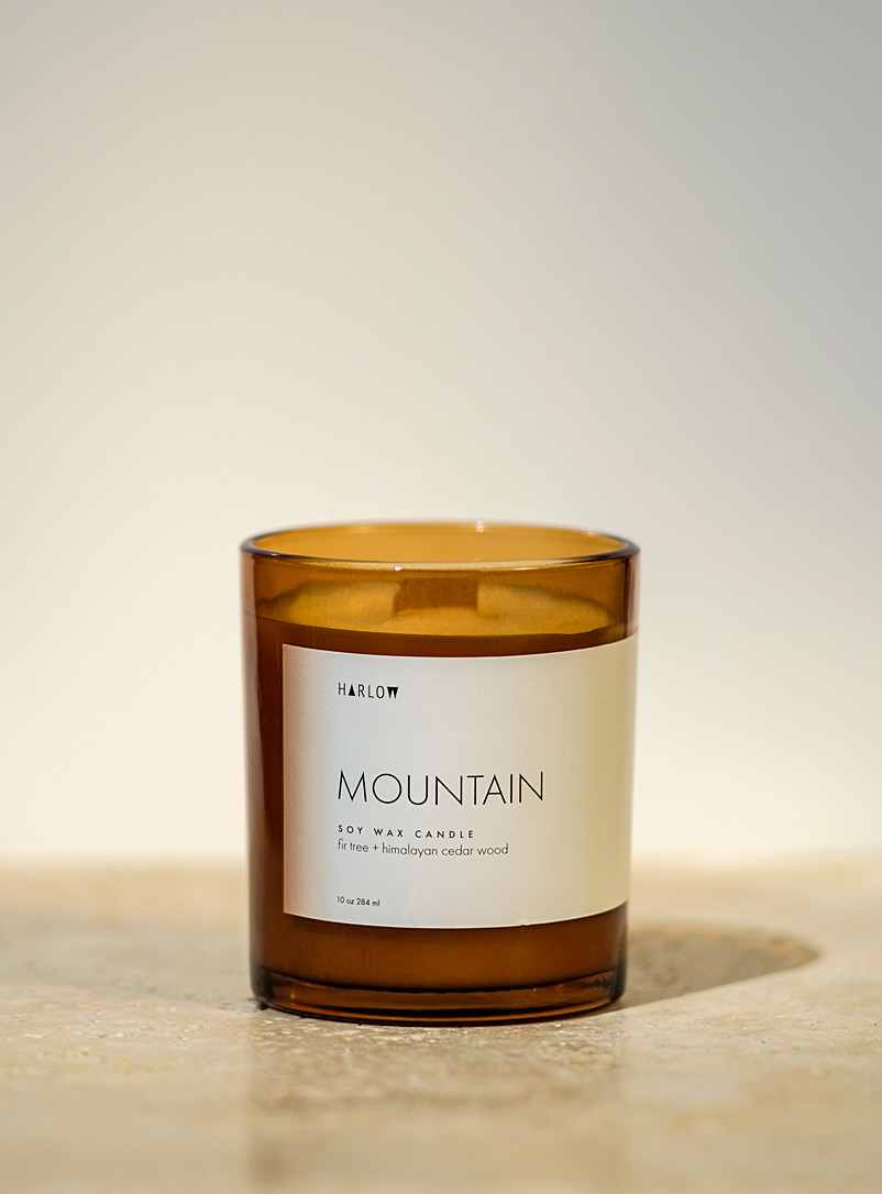 Harlow Skin Co.: La bougie parfumée Mountain Assorti