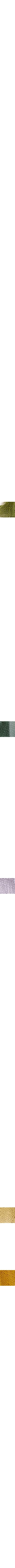 Orange brûlé - Brique