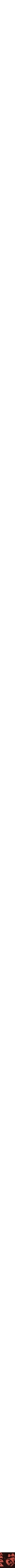 Assorti