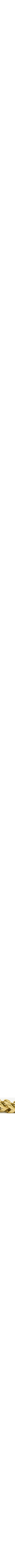 Jaune doré