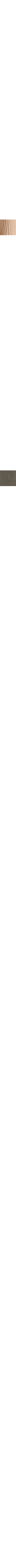 Ecru/Linen
