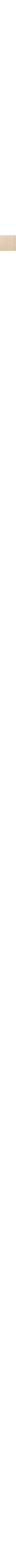 Lin