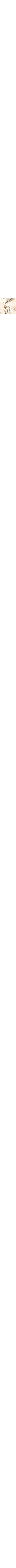 Blanc à motifs