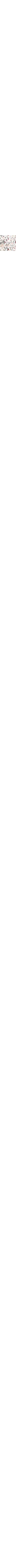 Patterned Ecru