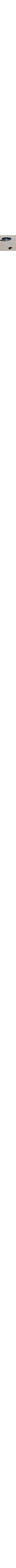Patterned Ecru