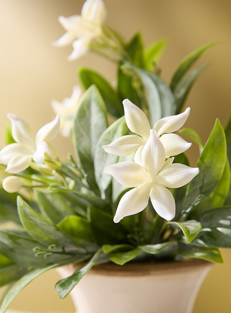 Simons Maison: La branche imitation stephanotis Blanc
